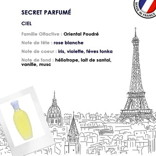Foto 5 | Foto 5 | Perfume Jacques Saint Pres Ciel Eau De Parfum 100 Ml para Mujer - Venta Internacional