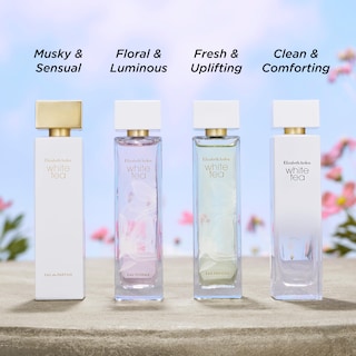 Foto 4 | Foto 4 | Perfume Elizabeth Arden White Tea Eau Florale Edt 100 Ml - Venta Internacional