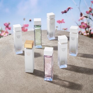 Foto 5 | Foto 5 | Perfume Elizabeth Arden White Tea Eau Florale Edt 100 Ml - Venta Internacional