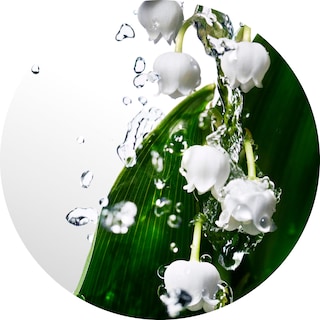 Foto 6 | Foto 6 | Perfume Davidoff Cool Water edt 30 ml para Mujer-Venta Internacional