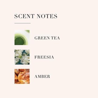 Foto 5 | Foto 5 | Perfume Le Monde Gourmand Thé Matcha, 30 Ml - Venta Internacional.