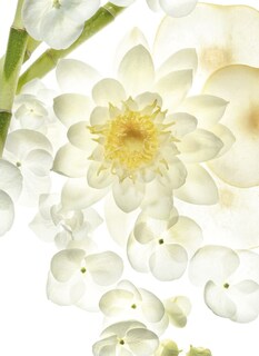 Foto 3 | Foto 3 | Perfume Bvlgari Omnia Crystalline Eau De Toilette 40 Ml - Venta Internacional.