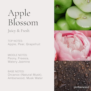Foto 3 | Foto 3 | Perfume Clean Classic Apple Blossom 30 ml para Mujer - Venta Internacional