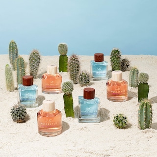 Foto 4 | Foto 4 | Perfume Hollister Canyon Escape Edp 100 Ml Para Mujer - Venta Internacional.
