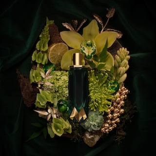Foto 3 | Foto 3 | Perfume Royalty By Maluma Jade Eau de Parfum 75 Ml - Venta Internacional