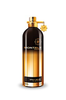 Foto 1 | Foto 1 | Perfume Montale Spicy Aoud Eau De Parfum para Mujer 100 Ml - Venta Internacional