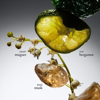 Foto 2 | Foto 2 | Perfume Philosophy Amazing Grace Eau De Toilette 120 Ml - Venta Internacional.