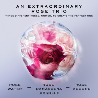 Foto 6 | Foto 6 | Set De Perfumes Lancôme Rose Extraordinaire & La Vie Est Belle 100 Ml - Venta Internacional.