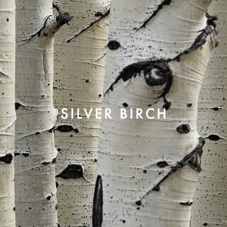 Foto 3 | Foto 3 | Perfume Alfred Sung Shi Eau De Parfum Para Mujer, 100 Ml - Venta Internacional.