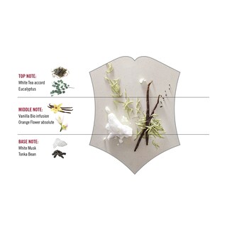 Foto 7 | Foto 7 | Perfume Victorinox First Snow Eau De Toilette 100 ml para Mujer - Venta Internacional