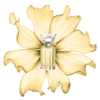 Foto 2 | Foto 2 | Perfume Oscar De La Renta Esprit D'oscar Eau De Parfum 100 Ml - Venta Internacional.