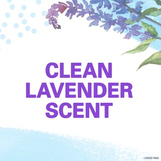 Foto 6 | Foto 6 | Desodorante Antitranspirante Secret Invisible Solid Women 75 Ml - Venta Internacional.