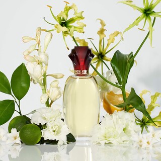 Foto 4 | Foto 4 | Perfume Paul Sebastian Design 100 Ml - Venta Internacional