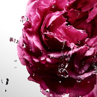 Foto 5 | Foto 5 | Perfume Davidoff Cool Water Sea Rose Eau De Toilette 30 Ml - Venta Internacional.