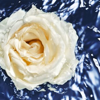 Foto 3 | Foto 3 | Perfume Davidoff Cool Water Oceanic Edition Edc 100 Ml Para Mujer - Venta Internacional.