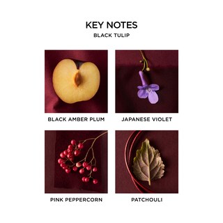 Foto 3 | Foto 3 | Perfume Nest New York Black Tulip Eau De Parfum 8 Ml Para Viajes - Venta Internacional.