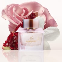 Perfume Burberry My Burberry Blush Eau De Parfum 90 Ml - Venta Internacional.