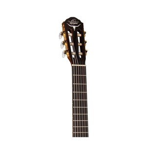 Foto 4 | Foto 4 | Requinto Electroacústico Con Funda Oscar Schmidt Oh30sce