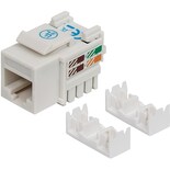 Keystone Jack Intellinet 210591 color Blanco Utp Cat6 Rj45 Hembra