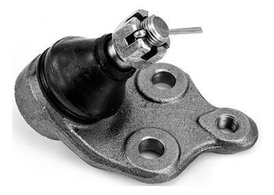 Foto 1 | Foto 1 | Rotula Inferior Celica