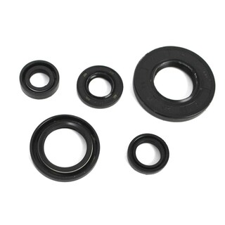 Foto 1 | Foto 1 | Retenes Motor Set Roda para Yamaha Ybr 125 C Express (15-19)