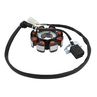 Foto 2 | Foto 2 | Inducido 8 Bobinas Vento Crossmax 250 (20-21)