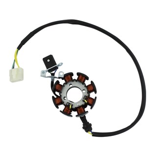 Foto 1 | Foto 1 | Inducido 8 Bobinas Roda Vento Crossmax 200 20-21