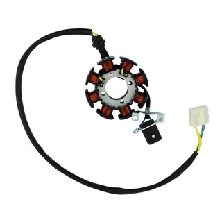 Foto 3 | Foto 3 | Inducido 8 Bobinas Roda Vento Crossmax 200 20-21