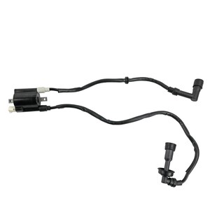 Foto 1 | Foto 1 | Bobina Encendido Doble Bajaj Pulsar Ns 200 (12-23) (wstd) 12v