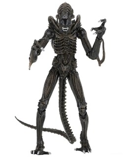 Foto 3 | Foto 3 | Figura de Acción Neca Alien Ultimate Warrior 7 Pulgadas 1986 Brown - Venta Internacional