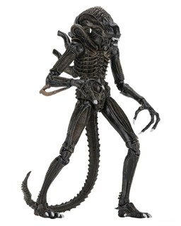Foto 4 | Foto 4 | Figura de Acción Neca Alien Ultimate Warrior 7 Pulgadas 1986 Brown - Venta Internacional