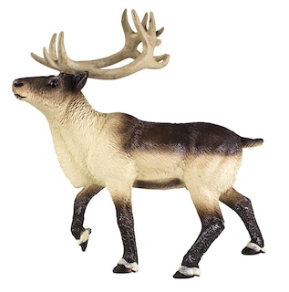 Foto 1 | Foto 1 | Juguete Figurine Safari Ltd. Reindeer 3.75 Arctic Animal Para Niños Mayores De 3 Años - Venta Internacional.