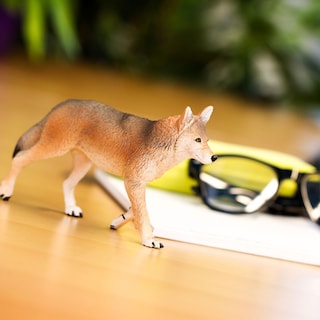 Foto 5 | Foto 5 | Figura De Juguete Safari Ltd. Coyote De 6,5 Cm, Modelo De Plástico, Modelo De 1 Año O Más - Venta Internacional.