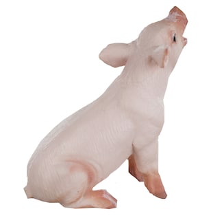 Foto 3 | Foto 3 | Figura Safari Ltd Safari Farm Sitting Piglet Para Niños Mayores De 3 Años - Venta Internacional.