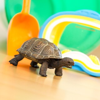 Foto 6 | Foto 6 | Estatuine Safari Ltd. Tortoise Baby 14 Cm, Plástico, Modelo 18m+ - Venta Internacional.