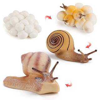 Foto 1 | Foto 1 | Modelo De Caracol Toy Fantarea Farm Animal Life Cycle, 4 Unidades - Venta Internacional.