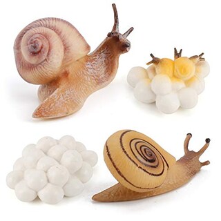 Foto 2 | Foto 2 | Modelo De Caracol Toy Fantarea Farm Animal Life Cycle, 4 Unidades - Venta Internacional.