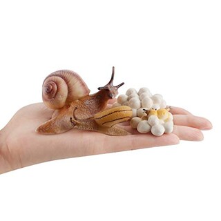 Foto 3 | Foto 3 | Modelo De Caracol Toy Fantarea Farm Animal Life Cycle, 4 Unidades - Venta Internacional.