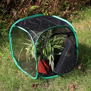Foto 2 | Foto 2 | Restcloud Jaula Para Hábitat De Insectos Y Mariposas Terrario Pop-up 12 X 12 X 12 Pulgadas - Venta Internacional.