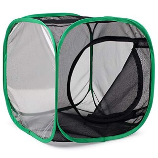 Foto 5 | Foto 5 | Restcloud Jaula Para Hábitat De Insectos Y Mariposas Terrario Pop-up 12 X 12 X 12 Pulgadas - Venta Internacional.
