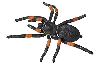 Foto 7 | Foto 7 | Tarántula De Rodillas Anaranjadas De Toy Figurine Safari Ltd Hidden Kingdom - Venta Internacional.