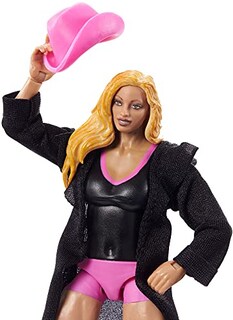 Foto 2 | Foto 2 | Acción De La Serie 92 De La Colección Elite De Trish Stratus - Venta Internacional.