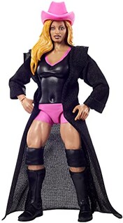 Foto 3 | Foto 3 | Acción De La Serie 92 De La Colección Elite De Trish Stratus - Venta Internacional.