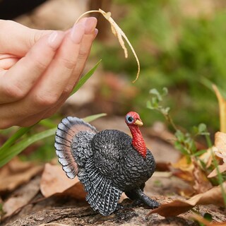 Foto 2 | Foto 2 | Figura De Juguete Schleich Farm World Turkey Bird Para Niños A Partir De 3 Años - Venta Internacional.