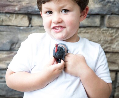 Foto 3 | Foto 3 | Figura De Juguete Schleich Farm World Turkey Bird Para Niños A Partir De 3 Años - Venta Internacional.