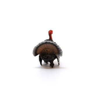Foto 5 | Foto 5 | Figura De Juguete Schleich Farm World Turkey Bird Para Niños A Partir De 3 Años - Venta Internacional.