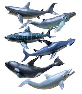 Foto 1 | Foto 1 | Animales Marinos Tiburón Martillo Ballena Jorobada Orca 24 Cm Azul