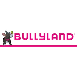 Foto 3 | Foto 3 | Figura De Acción Bullyland Fairy Godmother De 11 Cm A Partir De 3 Años - Venta Internacional.