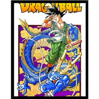 Foto 1 | Foto 1 | Marco Decorativo Dragon Ball Goku 30 X 40 Cm Marco De Madera Negra - Venta Internacional.