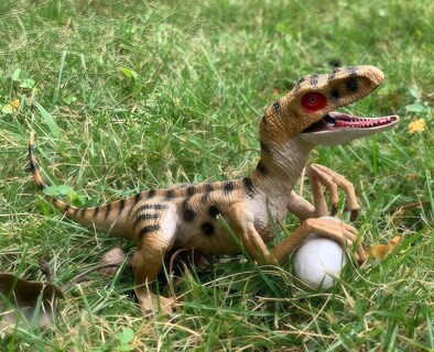 Foto 4 | Foto 4 | Display Toy Gemini&genius Velociraptor Dinosaur Para Niños - Venta Internacional.